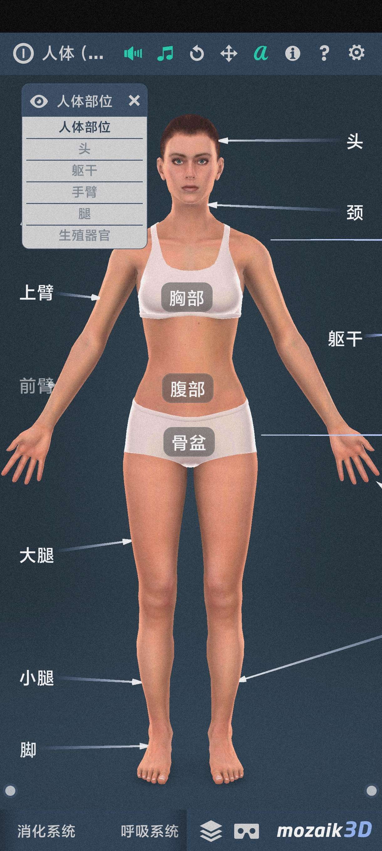 【合集】网页转app🔥人体系统女性3D学习必🔥草莓熊多开神器