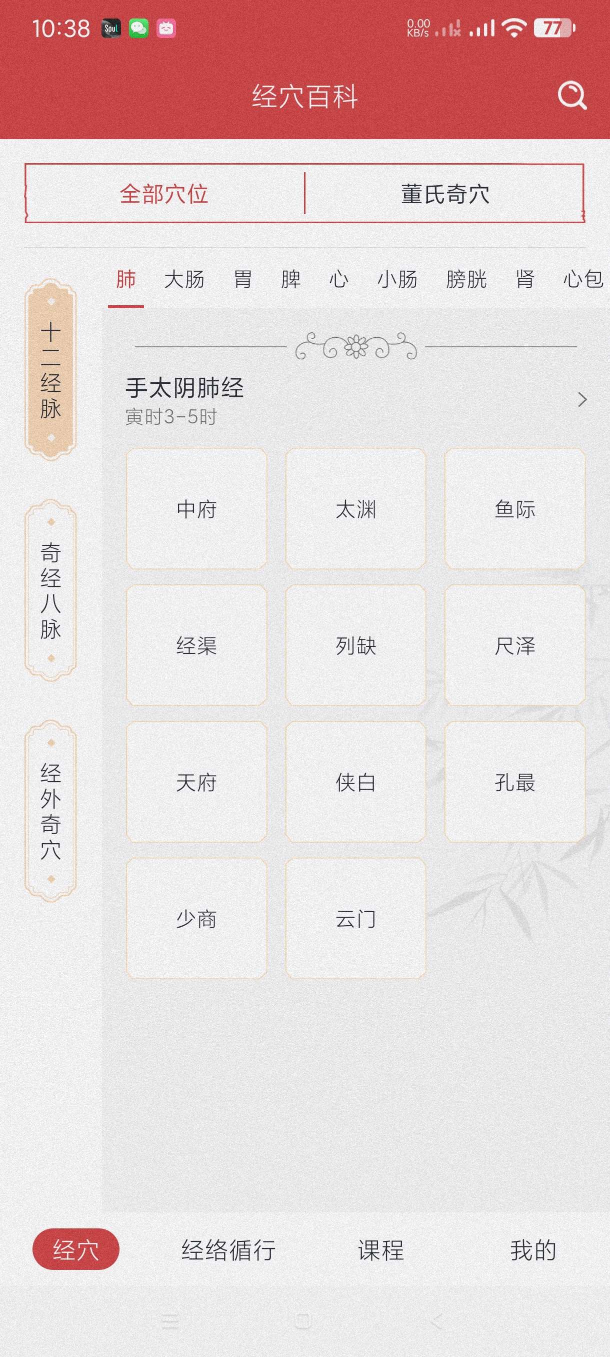 【分享】人体穴位图解1.3🔥自学针灸推拿~了解穴位~视频教程