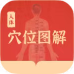 【分享】人体穴位图解1.3🔥自学针灸推拿~了解穴位~视频教程