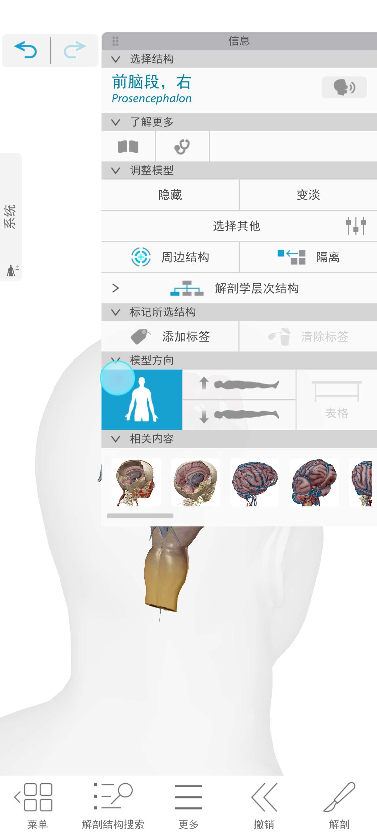 【分享】人体解剖学图谱2026🔥完整三维人体模型高级中文版
