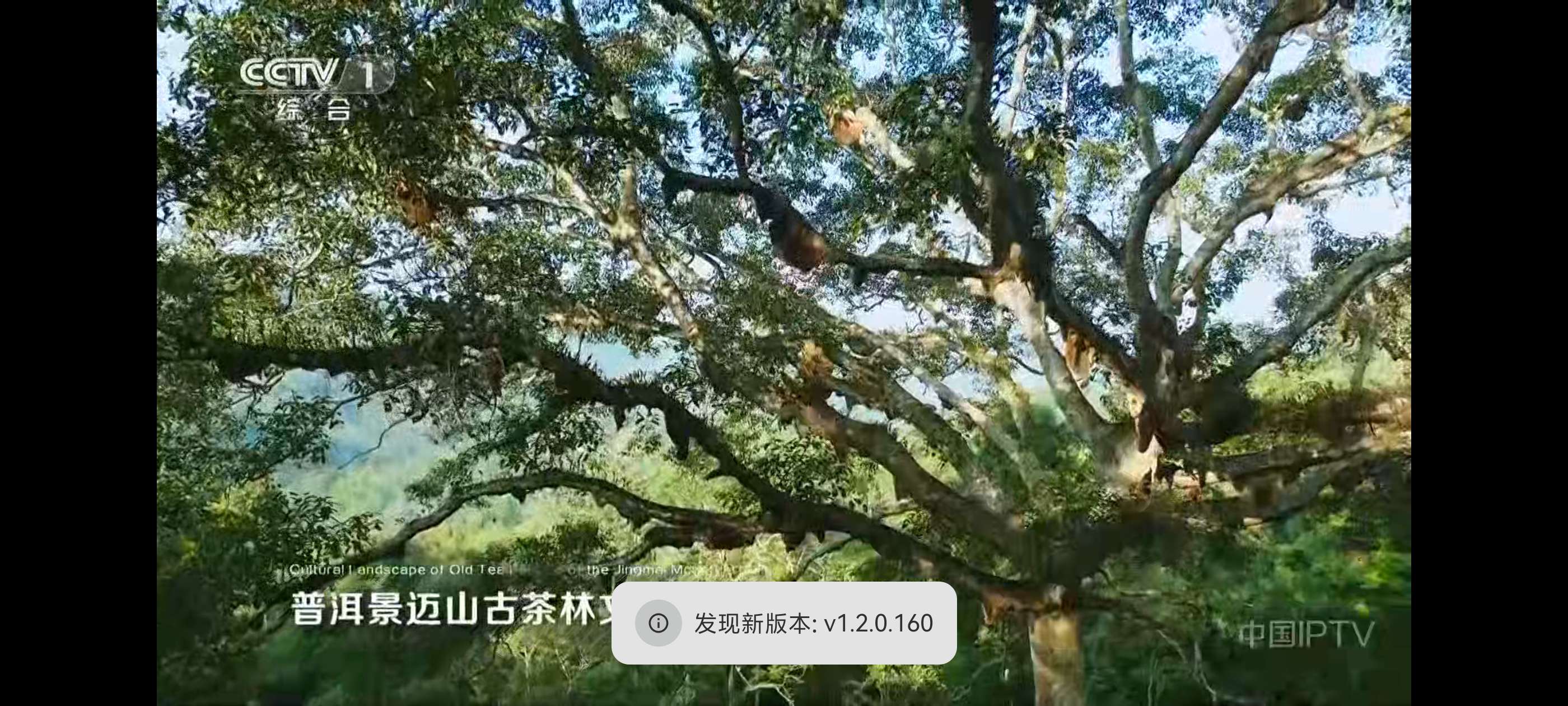 【分享】🔥电视直播🔥内置万种频道🔥高清蓝光不卡顿🔥