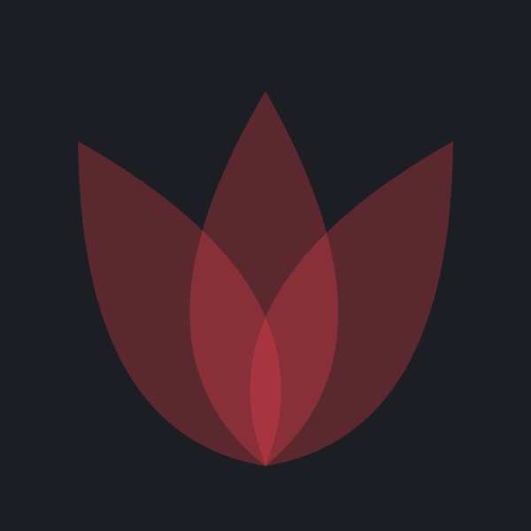 小红背单词