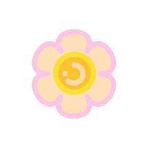 花花收纳