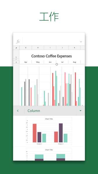 Microsoft Excel