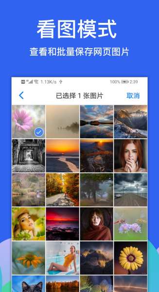 Alook 浏览器