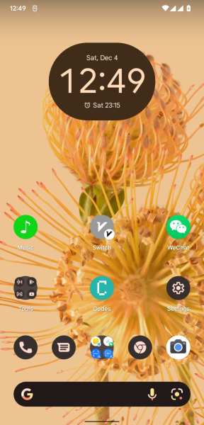 HidePixelLauncherDate