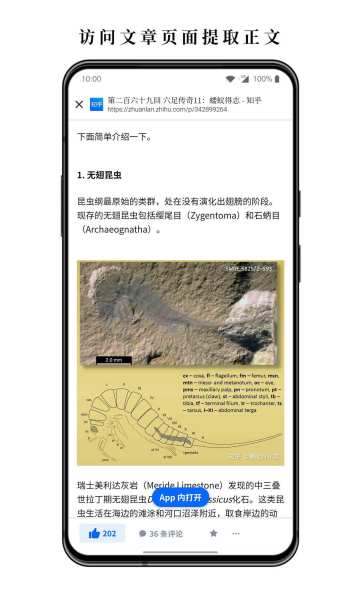 慢读