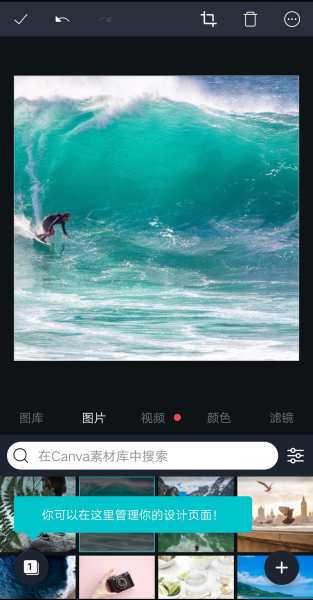 Canva 可画