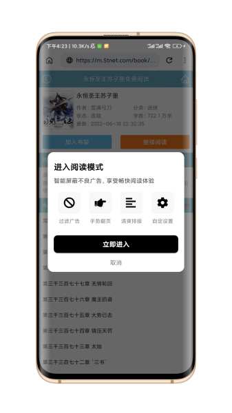 黑莓浏览器