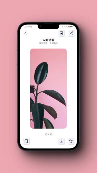 图卡壁纸