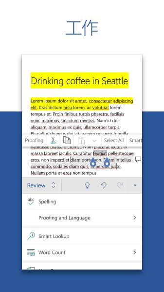Microsoft Word